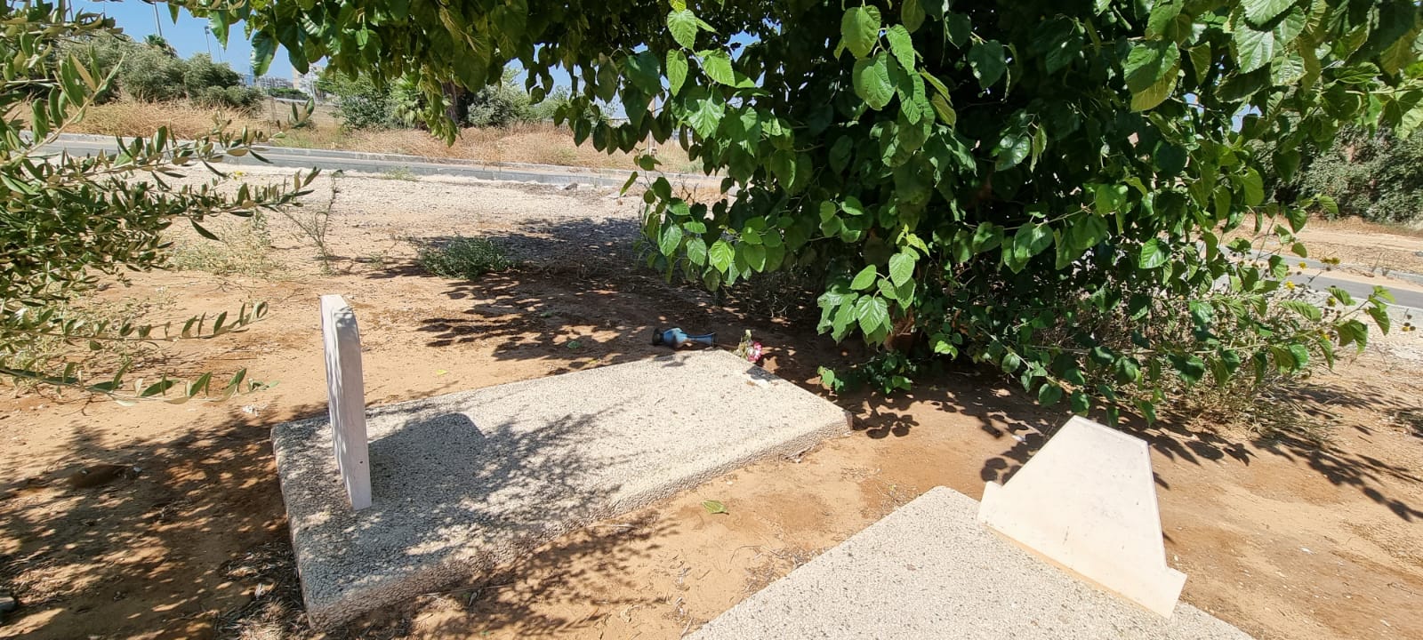 WhatsApp Image 2021-07-06 at 9.37.18 AM.jpeg